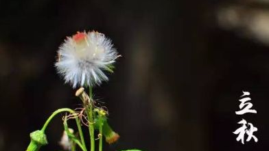 立秋后因該注意怎么養(yǎng)生？理療儀對高血壓患者有啥效果？