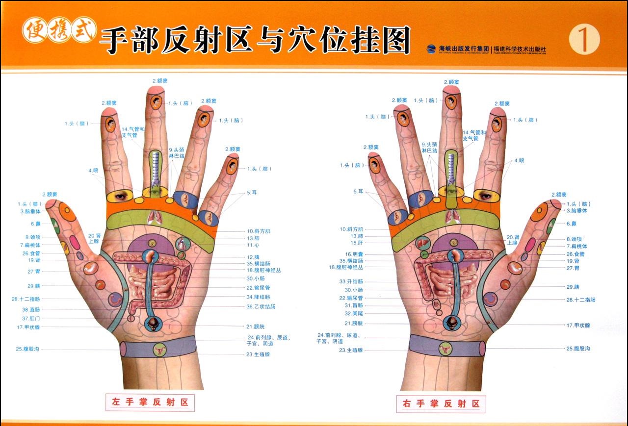 經(jīng)絡(luò)多久疏通一次好？